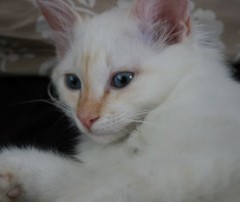 ClaudiMausi's Bild