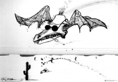 Donauboy's Bild