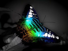 AnyG.'s Bild