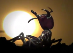 High on Tattoos's Bild