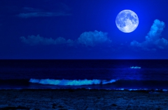 blue moon's Bild