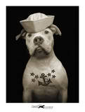 Tattoodogg88's Bild