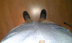 Helsche's Bild