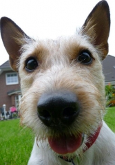 david0785's Bild