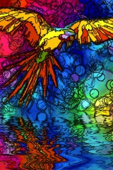 TomVi's Bild