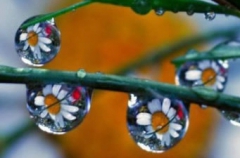 Cassandra's Bild
