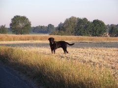 kicker1602's Bild