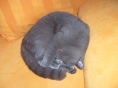 jeyjey's Bild