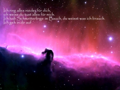 1forMe2forU's Bild