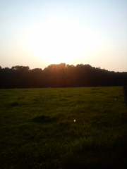 Chriliz's Bild
