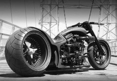 Cobra's Bild