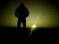 emsen's Bild