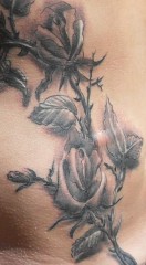 BiKu74's Bild