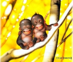 BabyD85's Bild