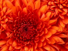 jenny2883's Bild