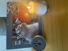 seele's Bild