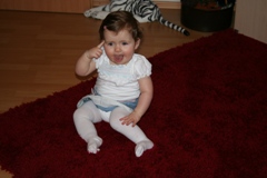 Ticamo's Bild