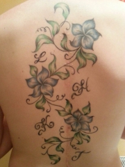 bibi94's Bild