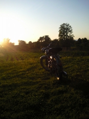 Janek58's Bild
