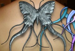 Jila's Bild