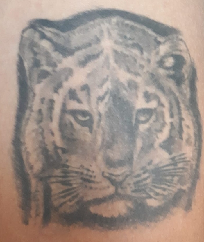 Nowayout: Kann dieses Tiger-Tattoo verbessert werden?