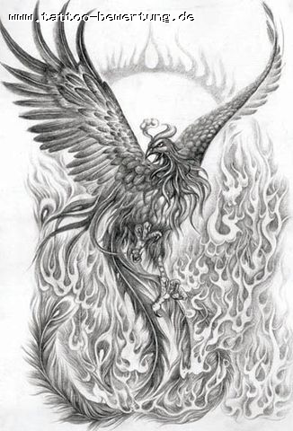 Christopher1992: Umsetzung Idee