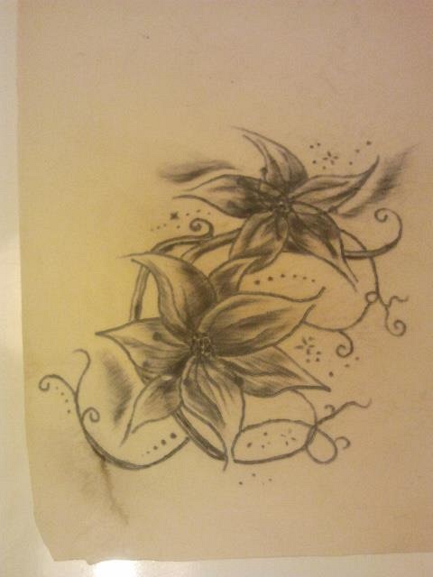 Jennymauzi: Neuzugang aus Rheinland-Pfalz