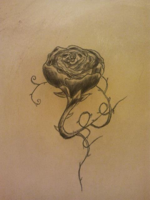 Jennymauzi: Neuzugang aus Rheinland-Pfalz