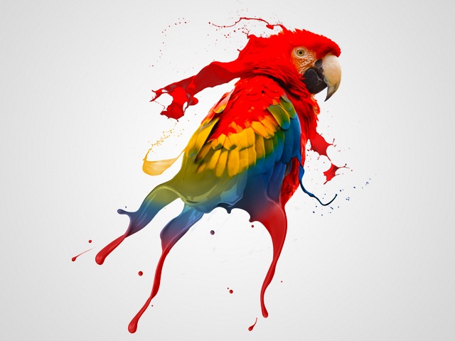 Mishka: Suche realistic,Portrait (farbig),Tättowierer in BW