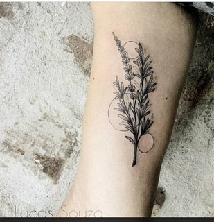 Fairtytalekatze: Motiv Größe Unterarm