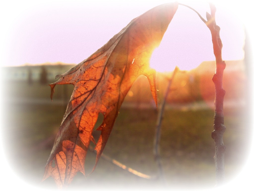 Gast: vorstellen? oh okaay ;)