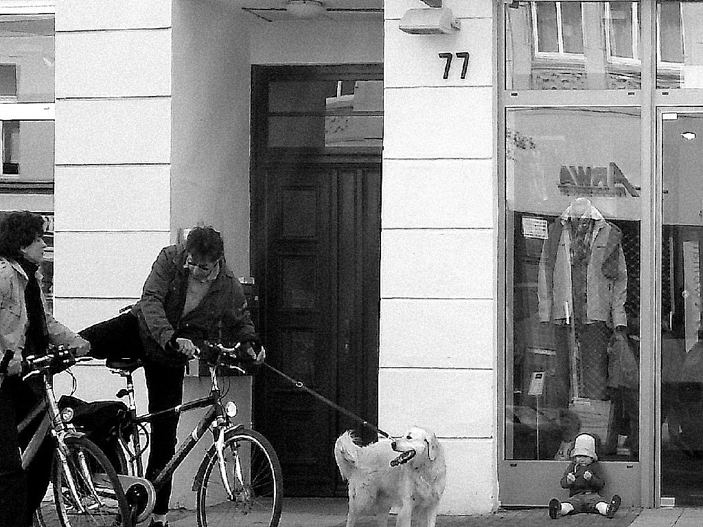 Gast: vorstellen? oh okaay ;)