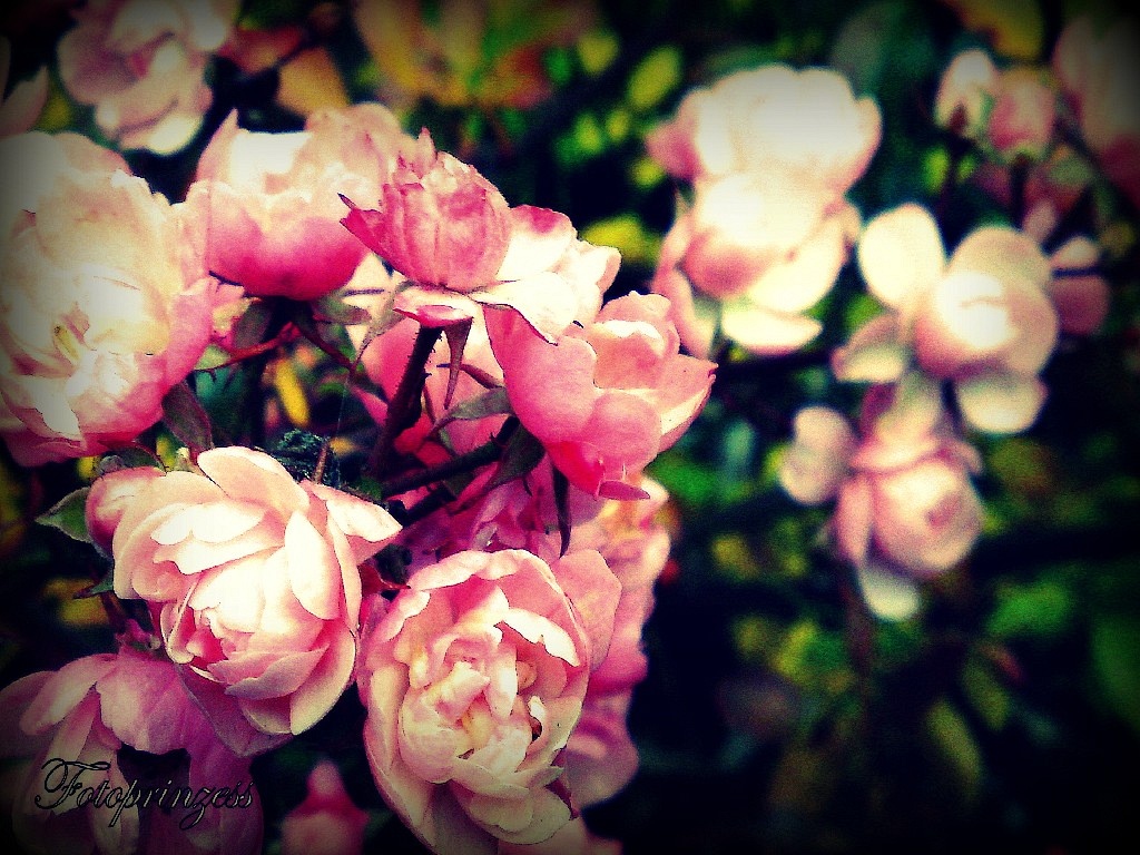 Gast: vorstellen? oh okaay ;)