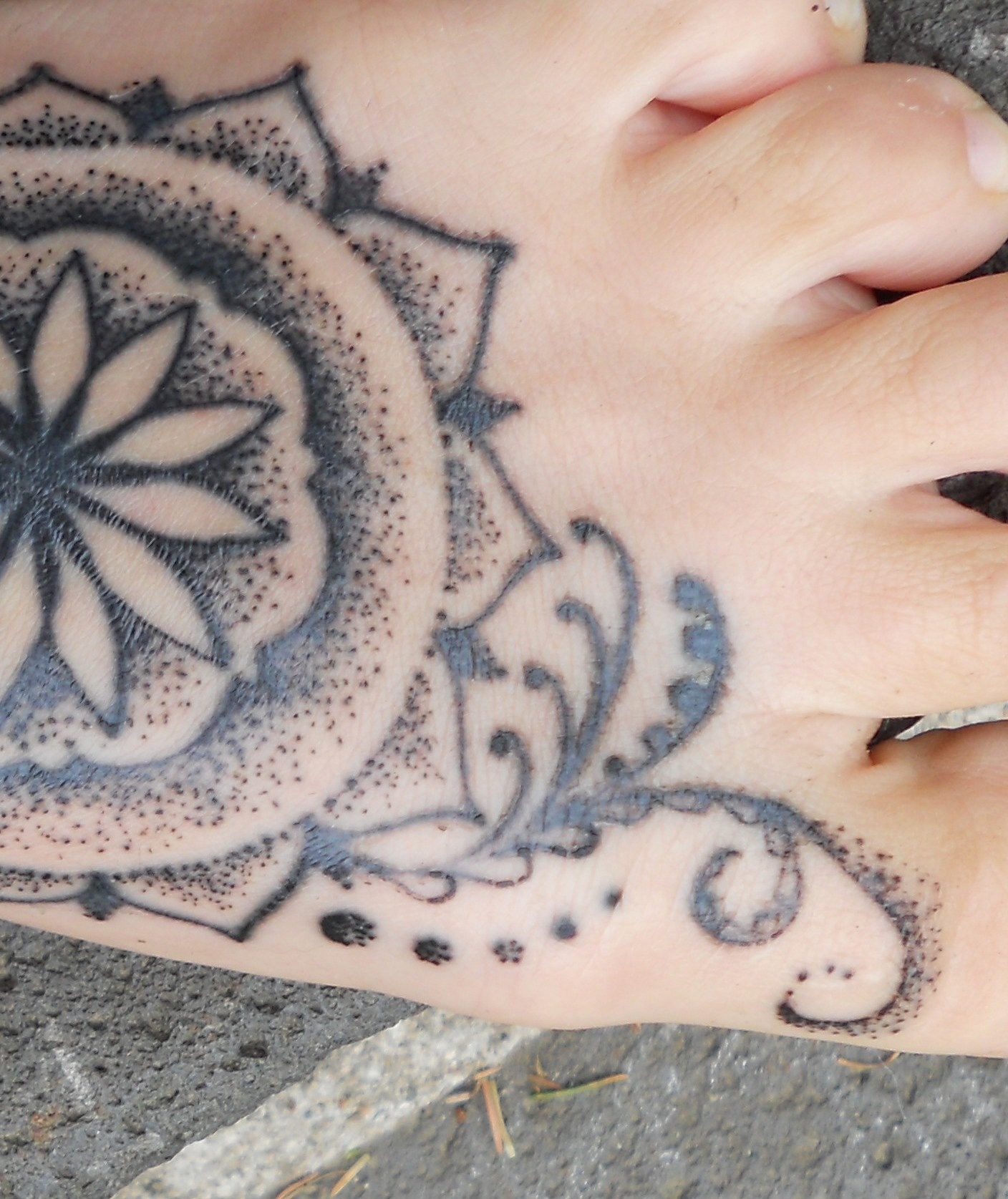 Caty: Linien verlaufen