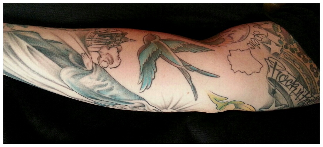 Schutzminister: "Rund um die Schwalbe"?!