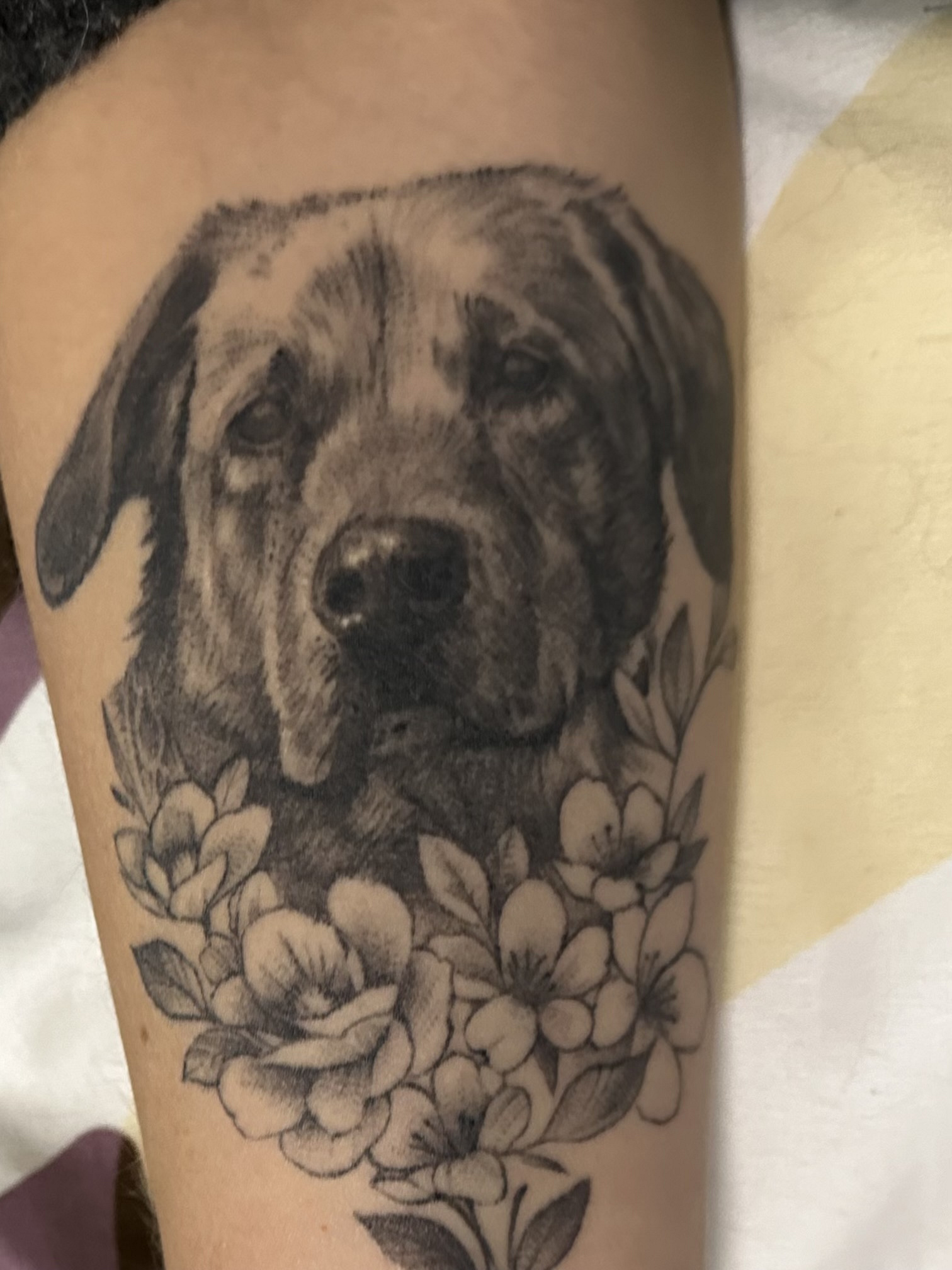 Andrea Bug: Portrait ausbessern