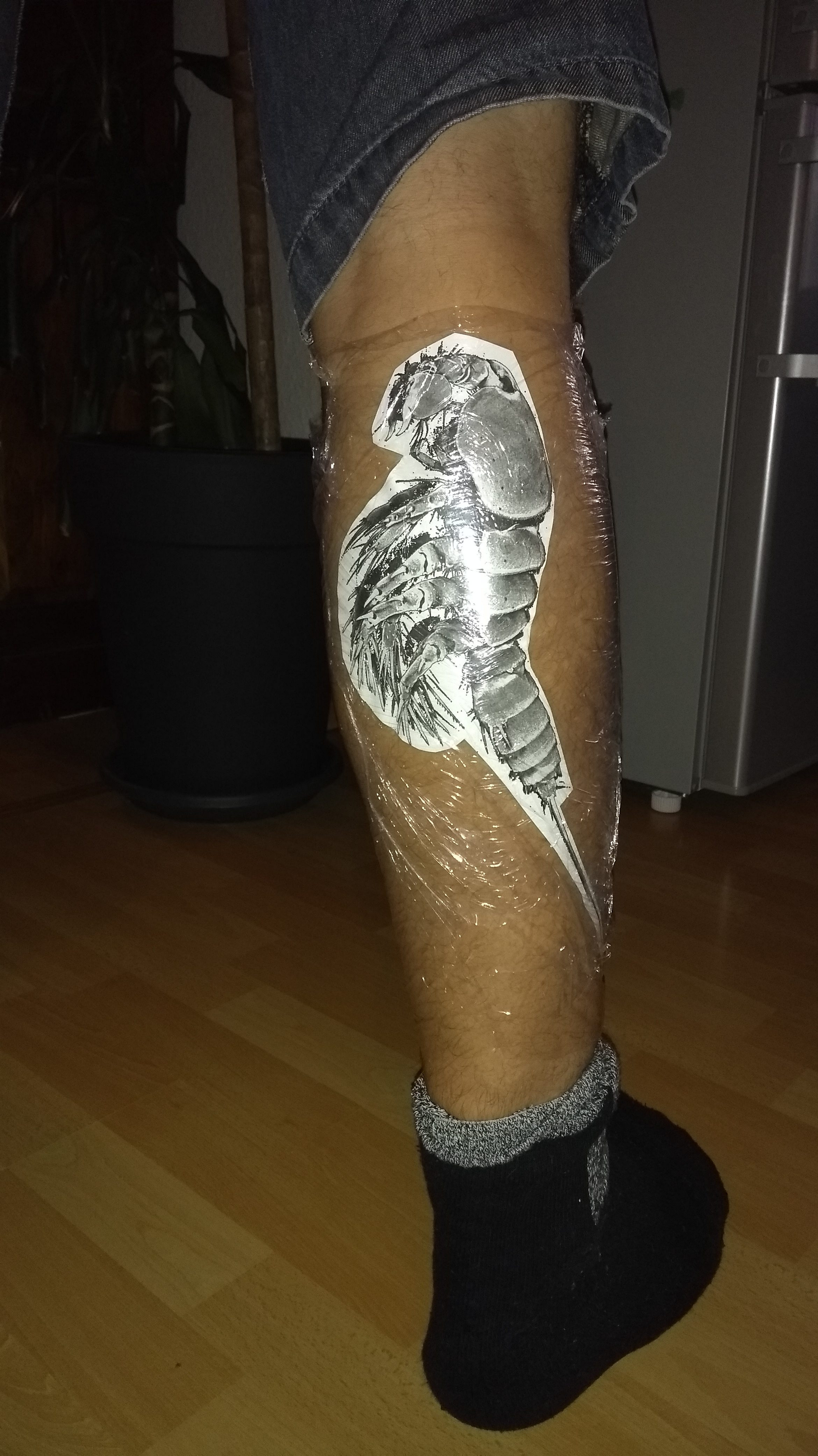 Ednukru: Erstes Tattoo. Krebstier auf Wade. Vorlage und Erweiterungsideen.