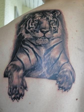 Alan: Mein Tiger und die Erweiterung