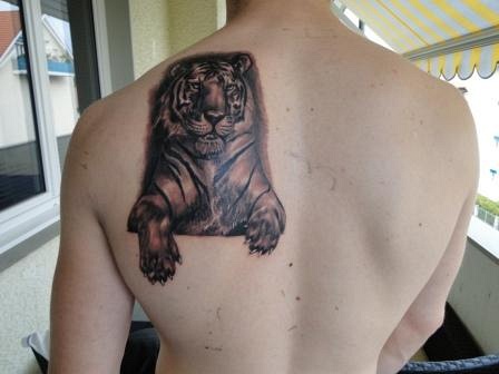 Alan: Mein Tiger und die Erweiterung