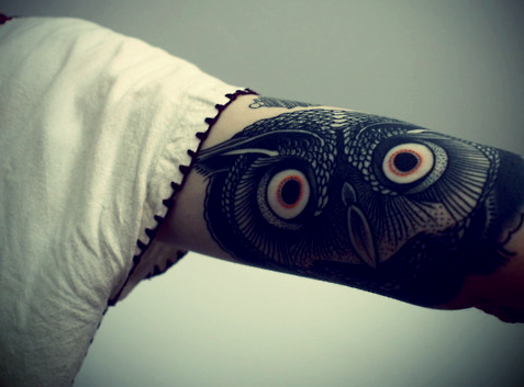 matizz67: Gutes Studio für ein Eulen-Potrait gesucht !