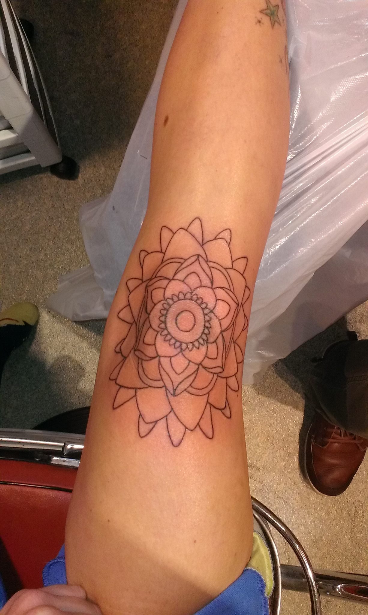 Tattoo/Kniescheibe Farbwahl TattooBewertung.de