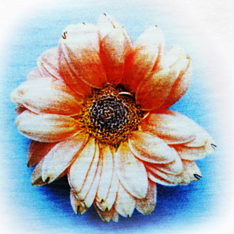 louise-j: Tattoo Studio in München & Umgebung gesucht! 
