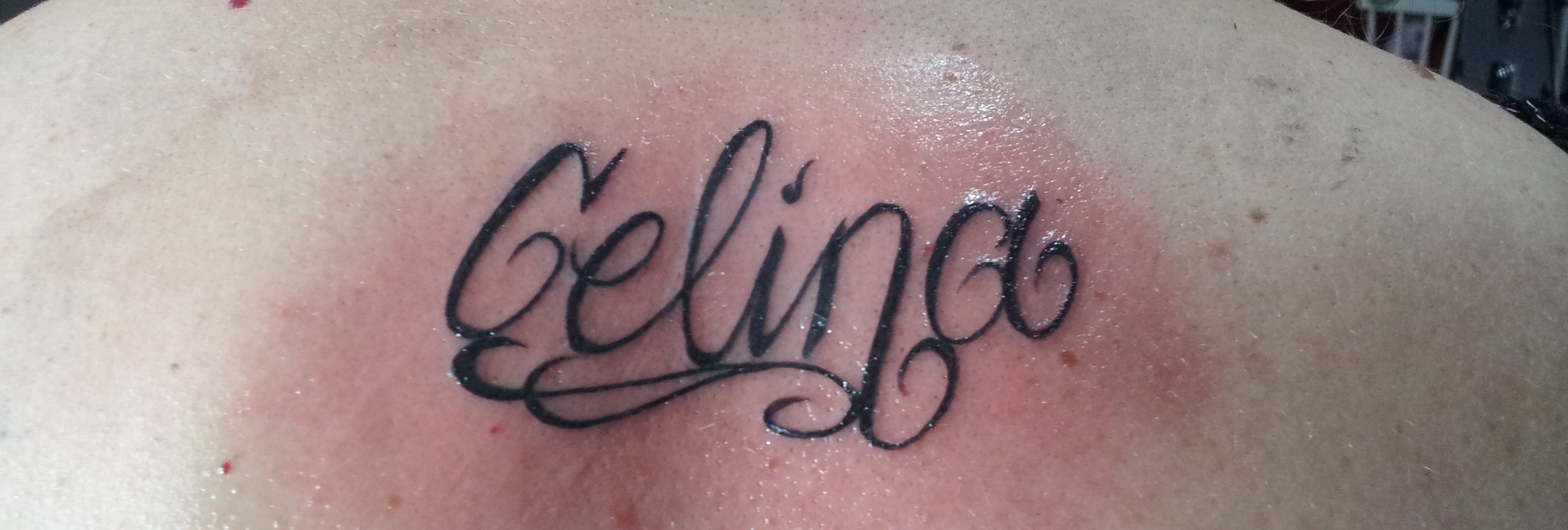 Kathi74: Neuling braucht Tipps