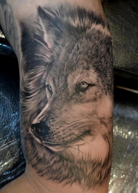 dono: Studio Raum Südbaden für Wolf Tattoo gesucht