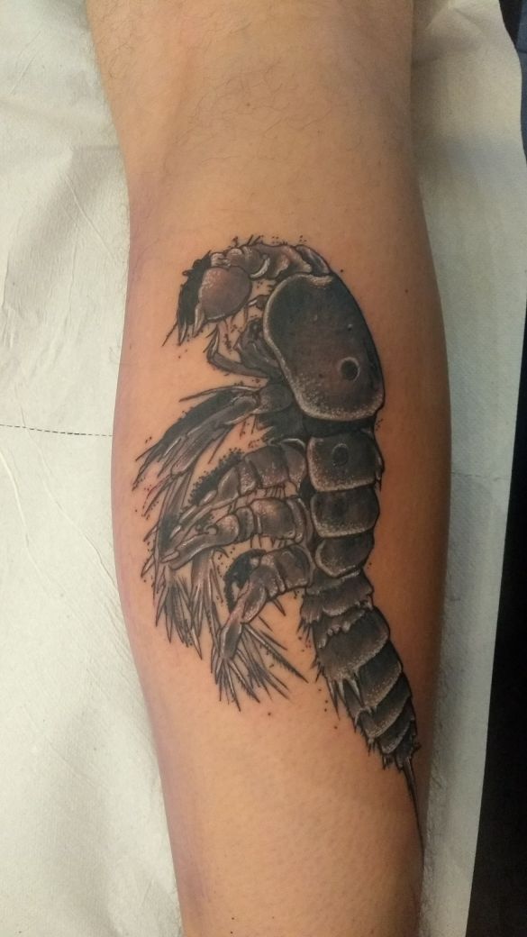 Ednukru: Erstes Tattoo. Krebstier auf Wade. Vorlage und Erweiterungsideen.