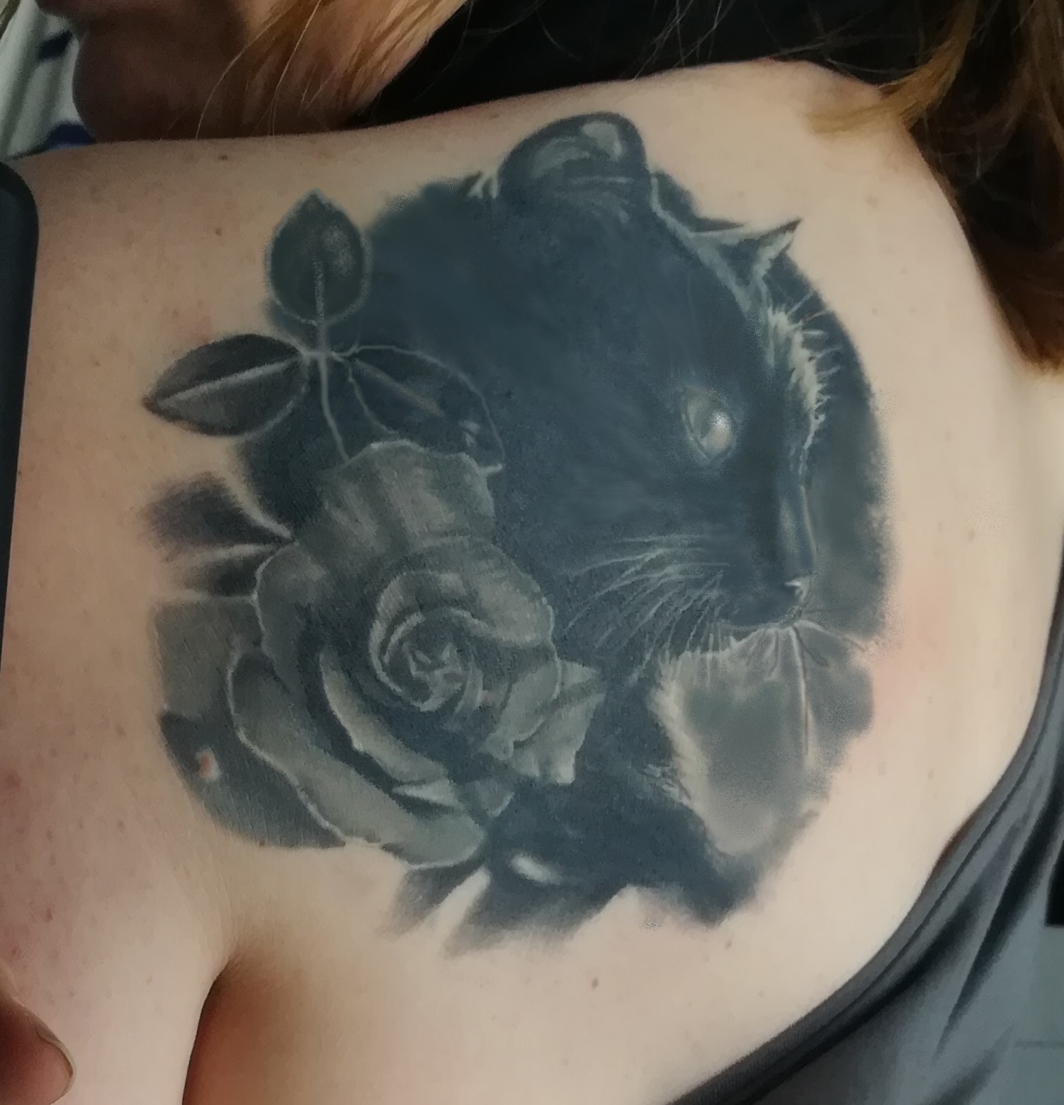 Hexenküche78: Realistische schwarze Katze erweitern, aber wie:-(