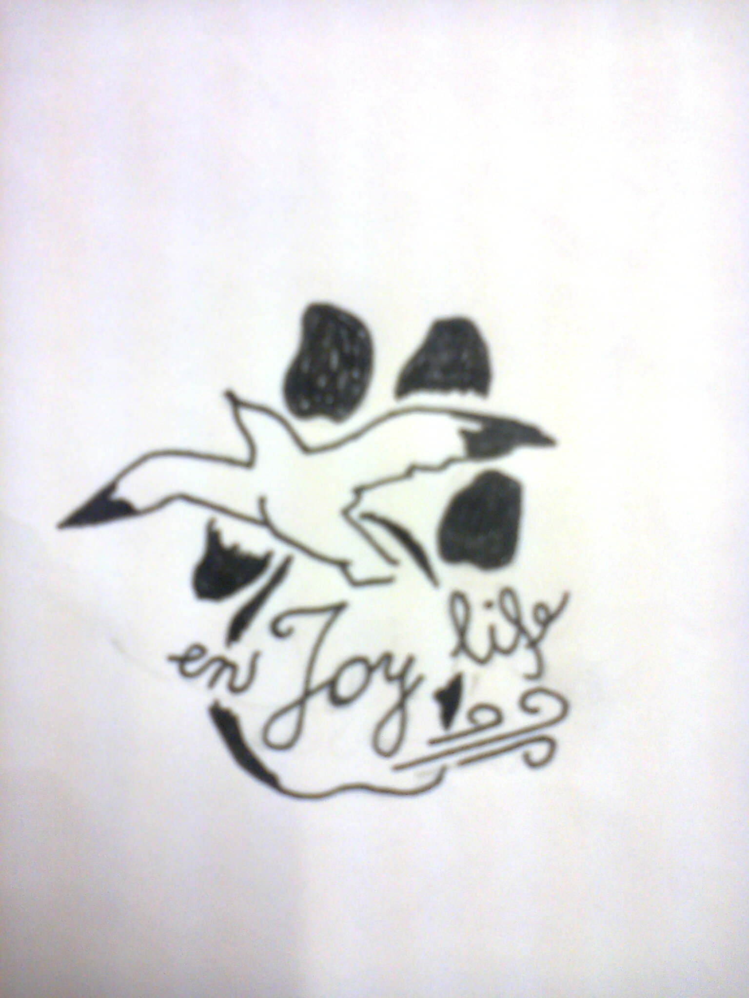 Johoy: Meinungen zu Roh-Entwurf