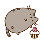 sangok: Wohin damit? Ursprüngliche Positionierung passt nicht mehr