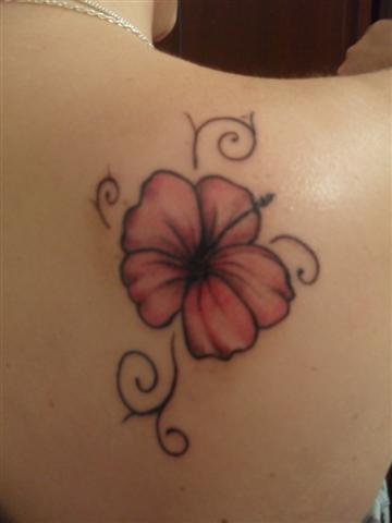 sammy1990: Hibiskus