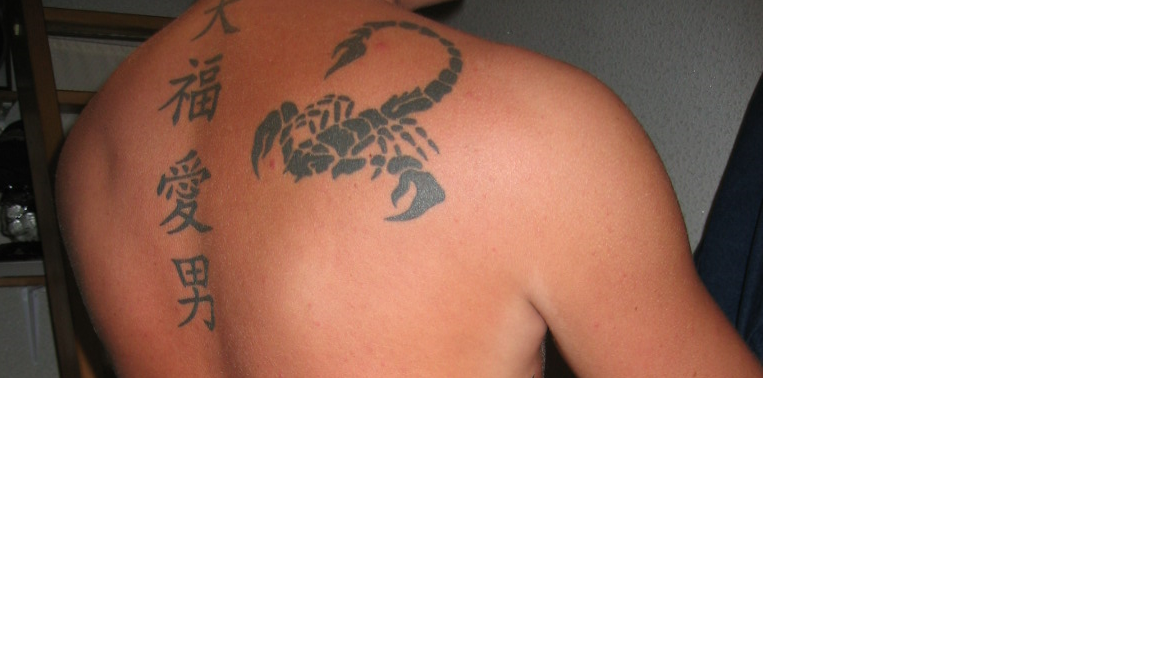 bloodyscorpion: Idee zum Cover Up